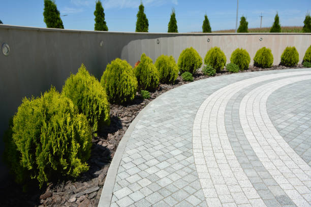 Best Custom Driveway Pavers  in Millersburg, PA
